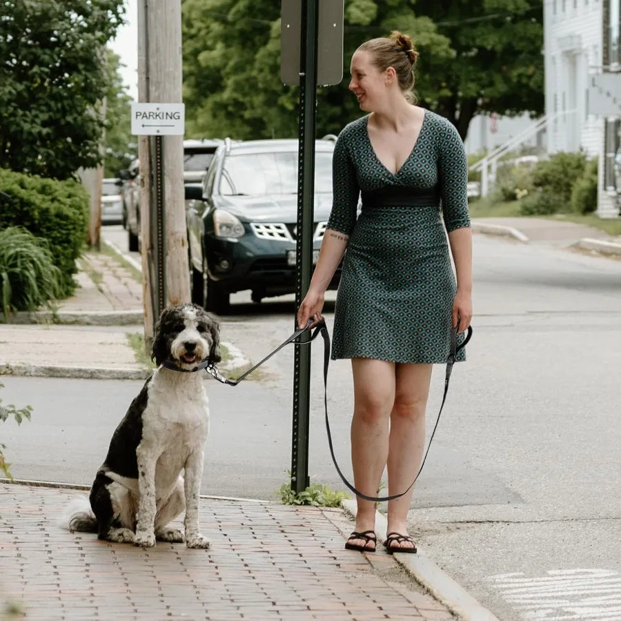 4 FT Heavy Duty Dog Leash with 2 Comfortable Padded Handles and Traffic Handle for Secure Walks Advanced Easy Snap Hook with Re