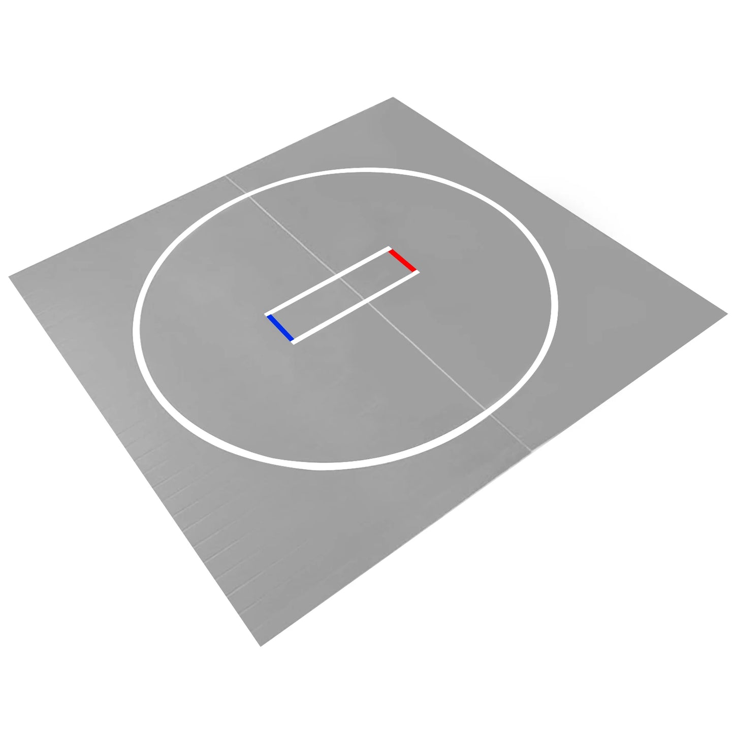 10x10FT Portable MMA/BJJ/Judo/Gymnastics Training Mat Taekwondo Floor Mat for Grappling Martial Art Boxing