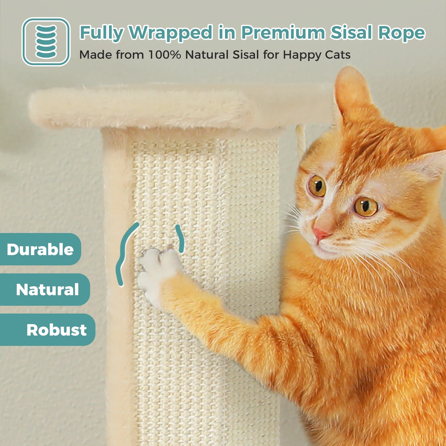 PAWZ Road Indoor Cat Scratching Post With Sisal Ball Toy