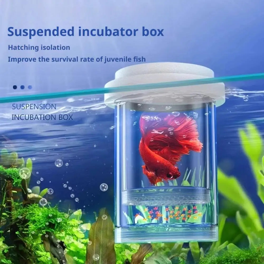 Floating Fish Breeding Isolation Box Fish Tank Hatching Incubator Small Fish Birthing Room Incubator Aquarium Breeder Accessory