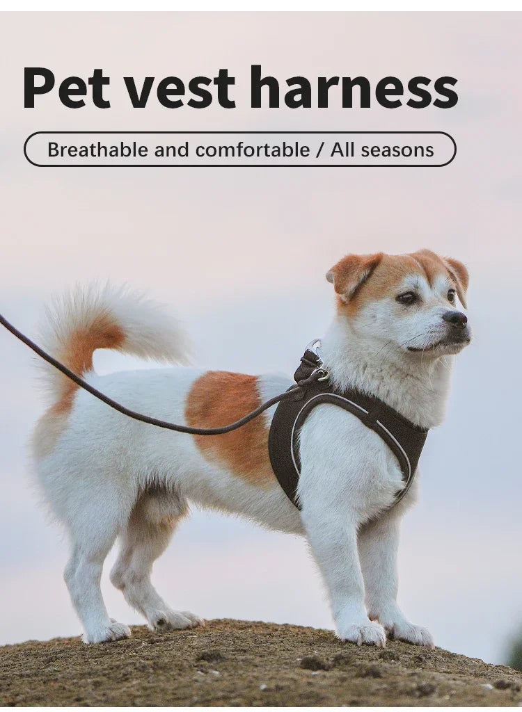 Dog Harness Leash Set for small medium dog Adjustable Reflective Puppy Cat Harness pet Vest Chihuahua Yorkies Outdoor Walking
