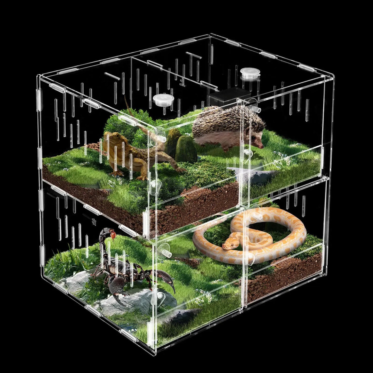 Acrylic 4 Grids Reptile Cage Large Tank Cage Enclosure Box Tarantula Insects, Tank Climbing Spider Snake Pet Box
