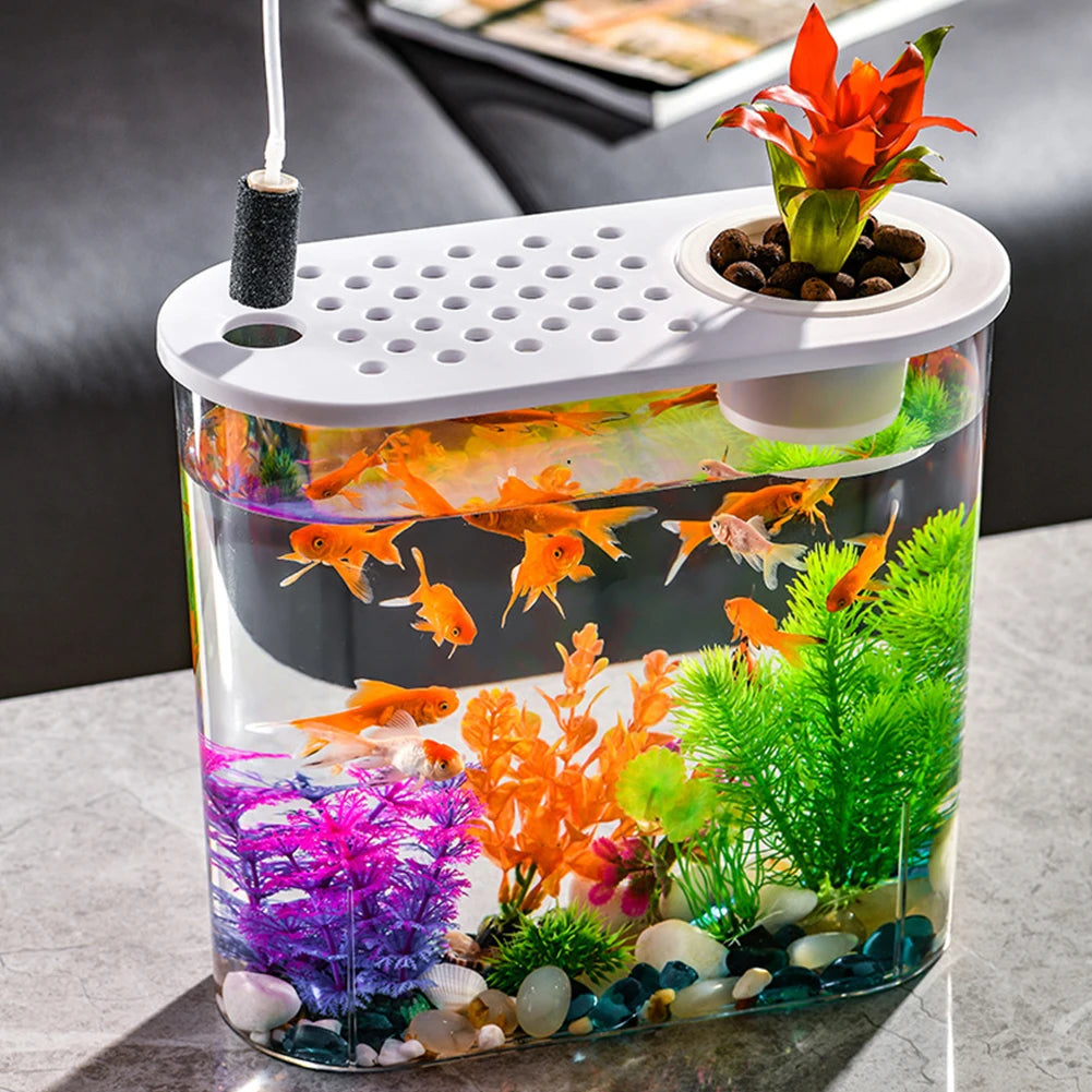 Plastic Clear Table Fish Bowl Hydroponics Desktop Aquarium Aquaponic Soil Cultivation Aquaponic Planter for Home Office Decor