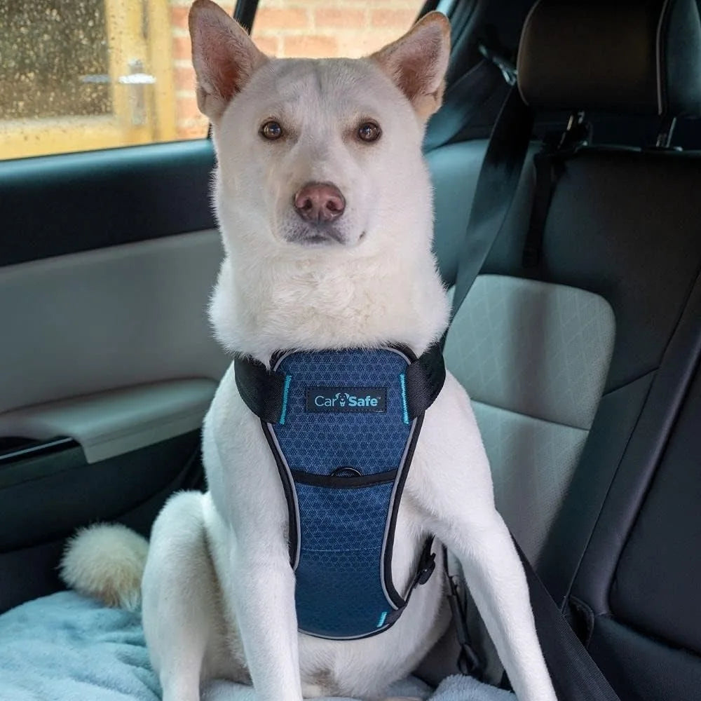 Crash Tested Dog Car Harness - Certified for Safety up to 70lbs, Comfortable Padded Design for Small to Large Dogs (Medium Size)