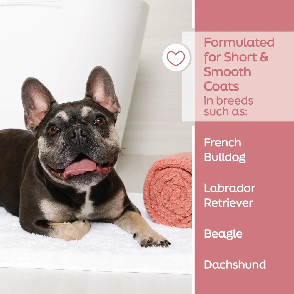 True Coat Dog Shampoo Short Smooth Coat Nourishing Oat Milk Coconut Oil Vitamin E Natural Ingredients Gentle Clean Hydrated Skin